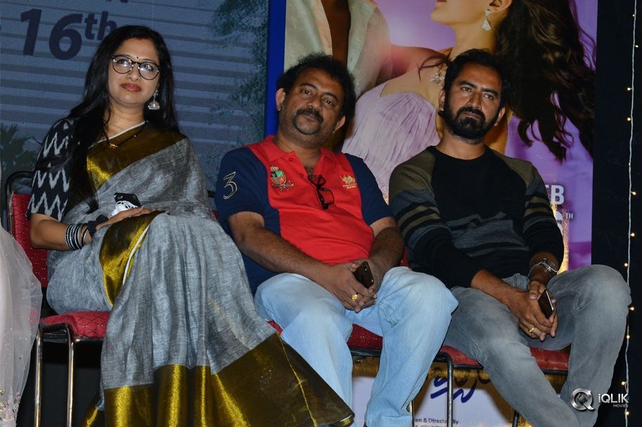 Manasuku-Nachindi-Movie-Press-Meet